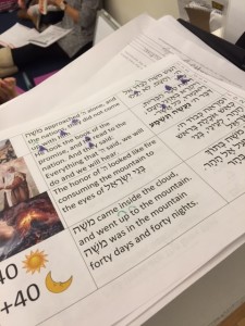 luria interdisciplinary grammar